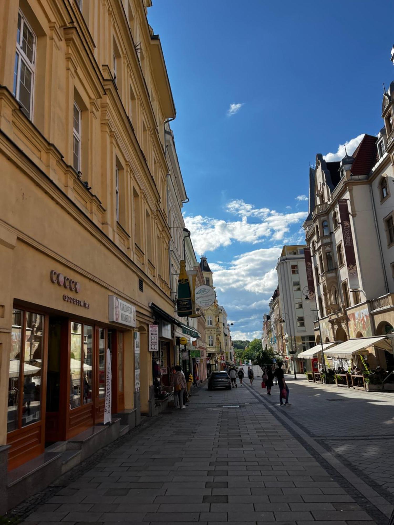 Stylish Centre Apartment Tgm Karlovy Vary Exteriér fotografie
